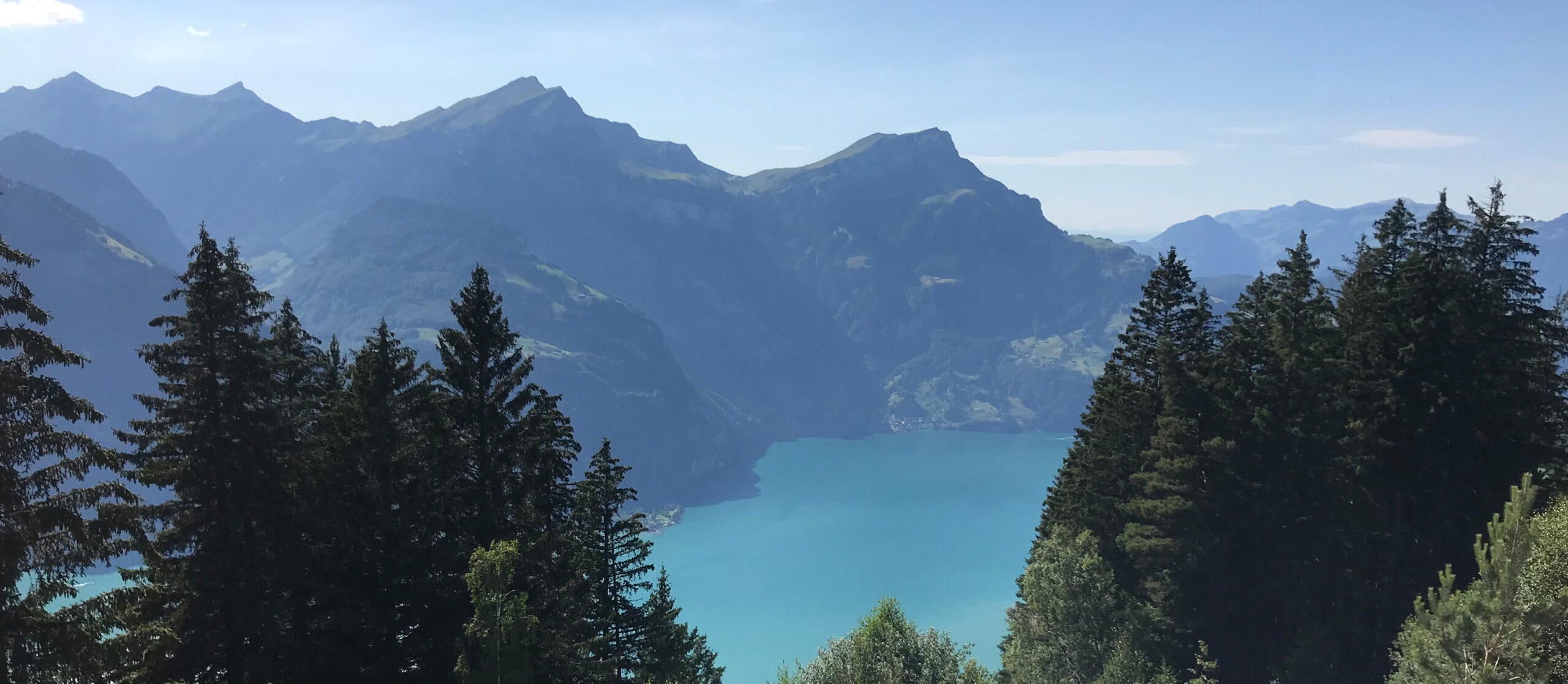 MountainLab 2